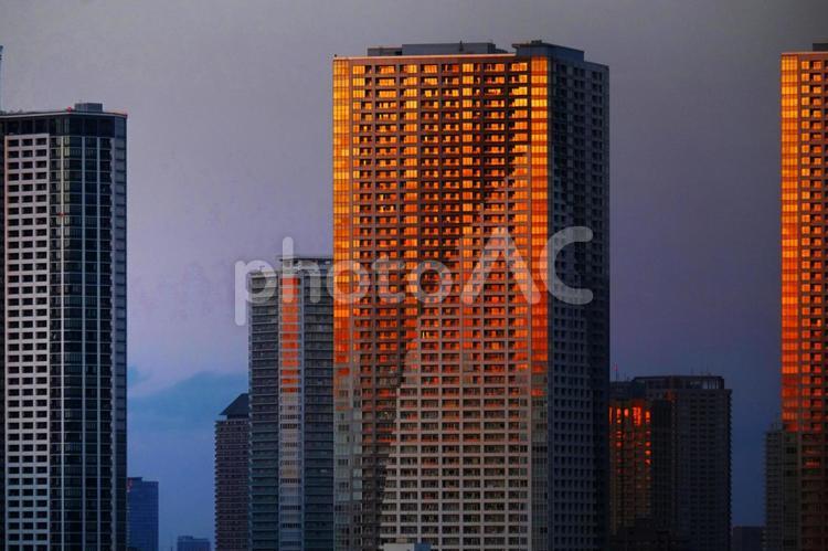 夕日を浴びるマンション群 マンション,夕方,東京の写真素材