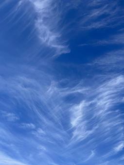 秋の雲　肋骨の写真