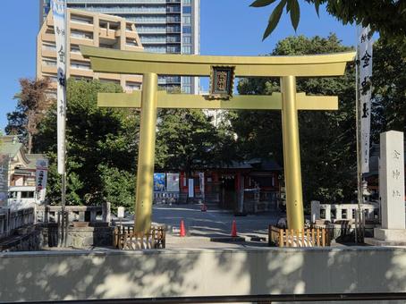 岐阜市　金神社　神社　鳥居　金色鳥居 パワースポット,御利益,参拝の写真素材