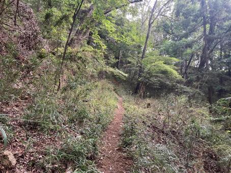 菊花山のハイキング風景 菊花山のハイキング風景 菊花山,ハイキング,山梨の写真素材