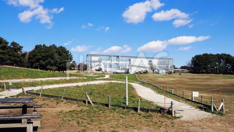 春の葛西臨海公園・展望広場のレストハウス 葛西臨海公園,展望広場,東京都の写真素材