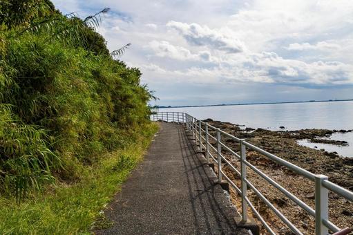静岡県浜松市 秋の浜名湖　大崎　ハマイチ 日本,静岡県,浜松市の写真素材