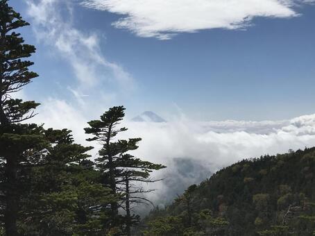 Fuji Fujiの写真