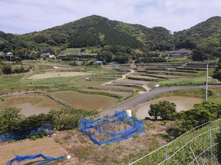 春日の棚田 あぜ道,春日,棚田の写真素材