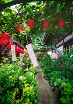 奈良県 おふさ観音 奈良県 おふさ観音 奈良,おふさ観音,風鈴寺の写真素材
