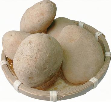 じゃがいも-22 じゃがいも,食べ物,野菜の写真素材