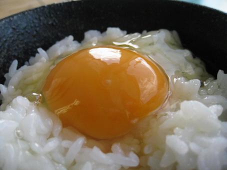 たまご 卵 タマゴ 黄身 たまご 卵 タマゴ 黄身の写真