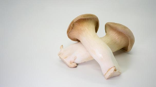 King oyster mushroom white background, JPG