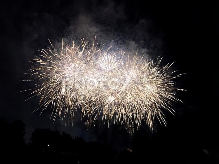 FU0110 花火,夜空,鮮やかの写真素材