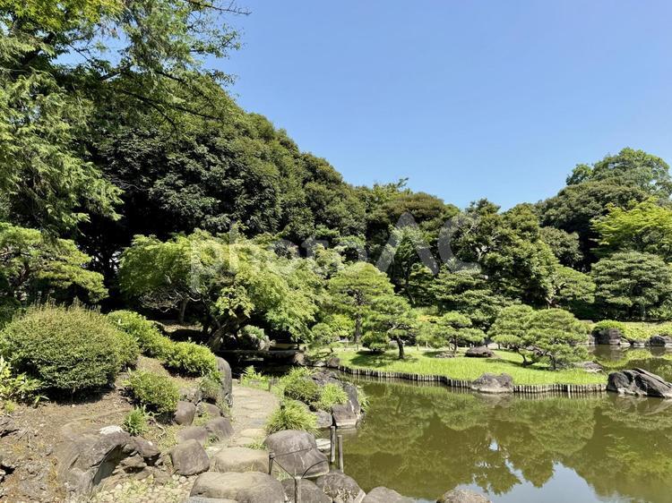 旧古河庭園　旧古河亭　日本庭園　7月 和風,旧古河庭園,旧古河邸の写真素材