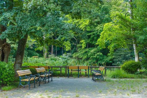 Photo, bench, wooden bench, log bench, 