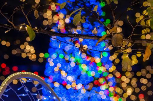 クリスマスのイルミネーション クリスマス,イルミネーション,冬素材の写真素材