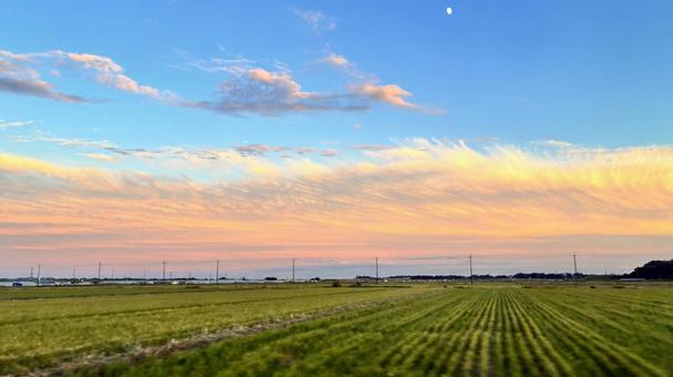 長い夕焼け雲の壁紙16:9 夕焼け,雲,日没の写真素材