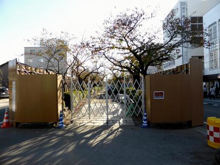 2014年11月・工事準備中の段葛 2014年11月・工事準備中の段葛 段葛,若宮大路,鎌倉市の写真素材