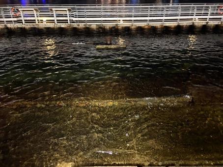 夜の水辺とさざ波の写真