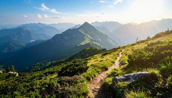 ハイキングコースの山道の写真