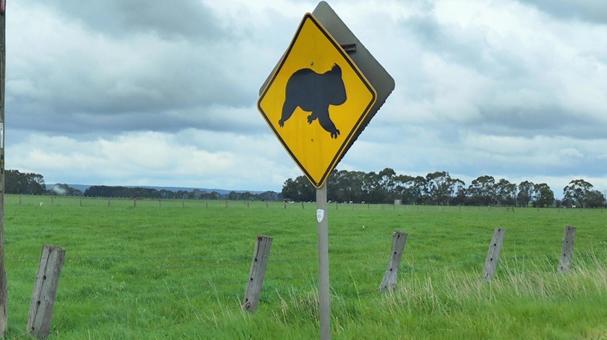 ウォンバットの看板の写真