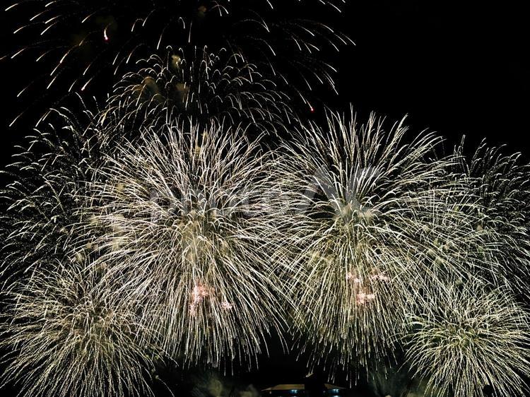 視界を埋める白銀の大輪花火 花火,打ち上げ花火,大輪の花火の写真素材