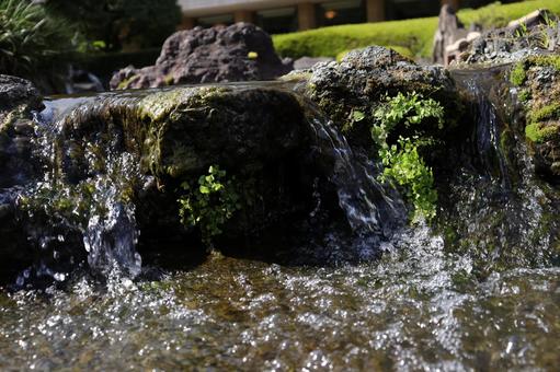 水の流れ 水の流れ 庭園,日本庭園,川の写真素材