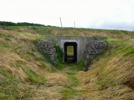 ある郊外のトンネルの写真