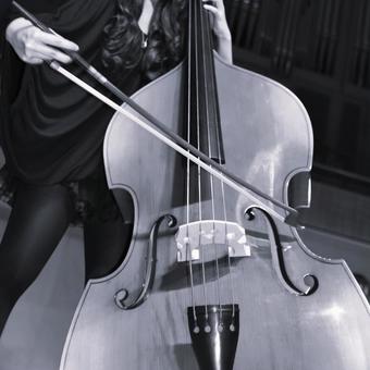 Photo, monochrome, black and white, contrabass, 