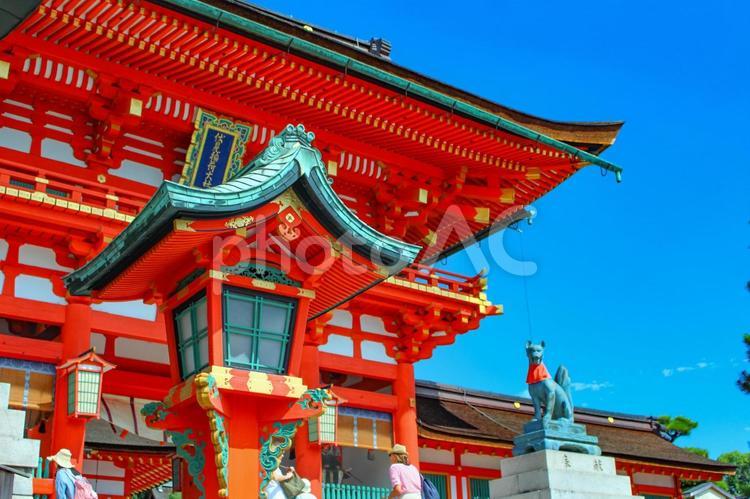 伏見稲荷大社 伏見稲荷大社,伏見稲荷,千本鳥居の写真素材