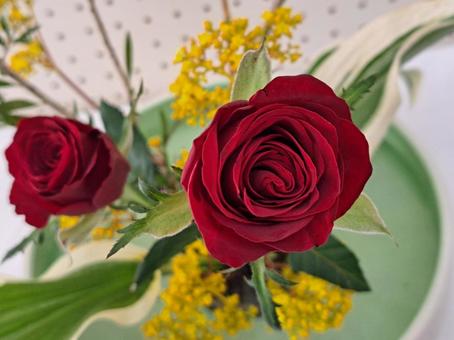 華道のバラ 華道のバラ 薔薇,ばら,バラの写真素材