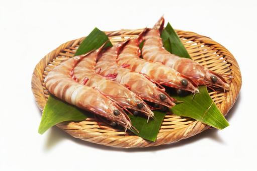 生の車エビ2 生の車エビ2 車エビ,海老,エビの写真素材