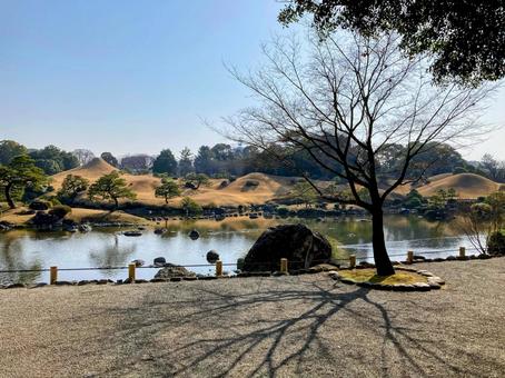 水前寺公園 水前寺公園 水前寺公園,公園,水前寺の写真素材