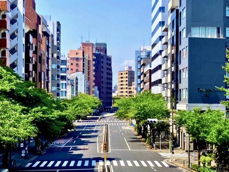 明治通り つかの間の休憩 明治通り つかの間の休憩 明治通り,東京,広尾の写真素材