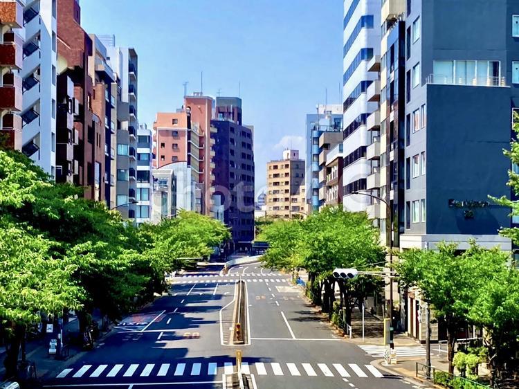 明治通り　つかの間の休憩 明治通り,東京,広尾の写真素材