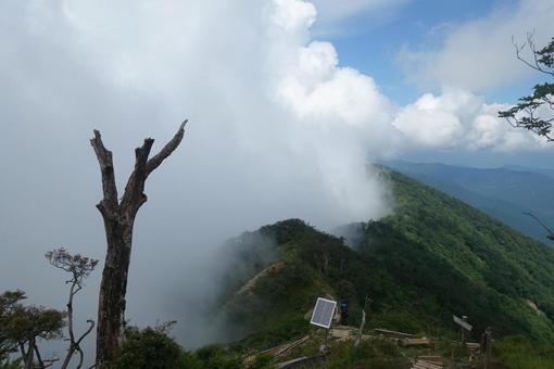 尾根にかかる雲(檜洞丸) 尾根にかかる雲(檜洞丸)の写真