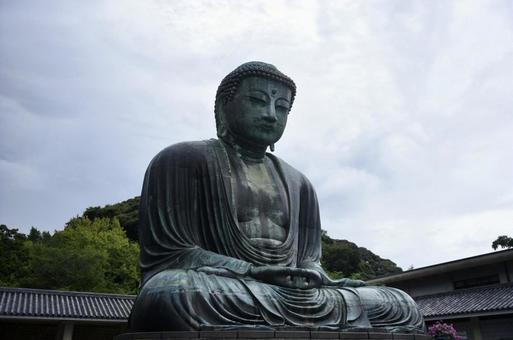 鎌倉の大仏 鎌倉の大仏 仏像,大仏,鎌倉の写真素材