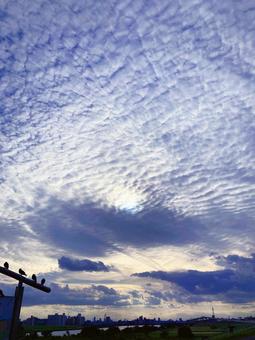 秋空 秋空の写真