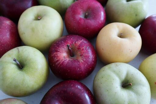 りんごの種類 林檎,果物,アップルの写真素材