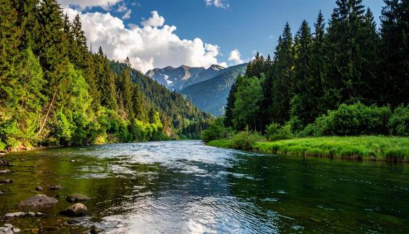 緑鮮やかな川の写真