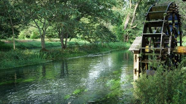 川辺の水車と緑 水車,川,夏の写真素材