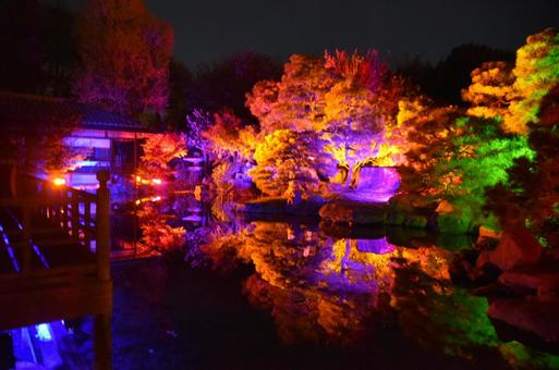 ライトアップ ライトアップの写真