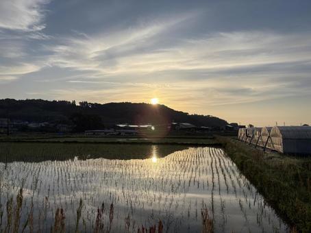 朝の日差しの写真