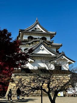 彦根城 彦根城の写真