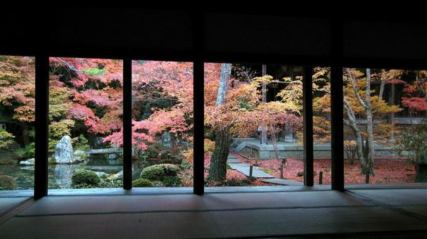 京都蓮華寺の額縁紅葉 京都蓮華寺の額縁紅葉の写真