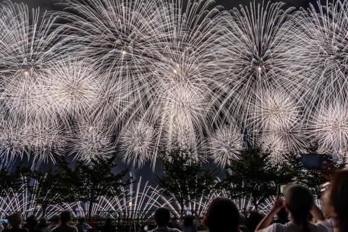 長岡まつり大花火大会 長岡まつり,大花火大会,花火の写真素材