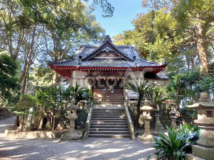 御浜岬の諸口神社 御浜岬,諸口神社,西伊豆の写真素材