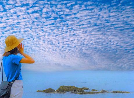 秋空に叫ぶ(鱗雲) 秋空に叫ぶ(鱗雲)の写真