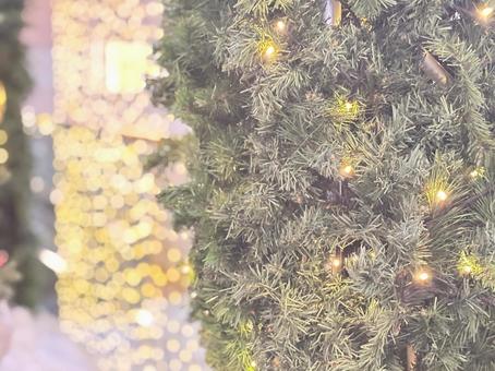 クリスマスツリー クリスマス,クリスマスツリー,ツリーの写真素材