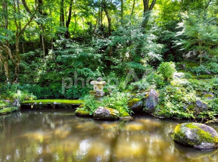 三千院弁天池 三千院,弁天池,池の写真素材