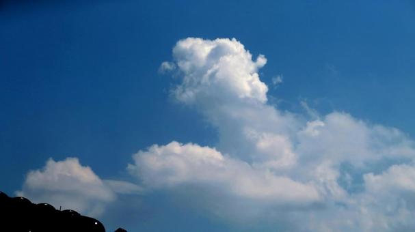 Photo, cloud, cumulus, white clouds, 