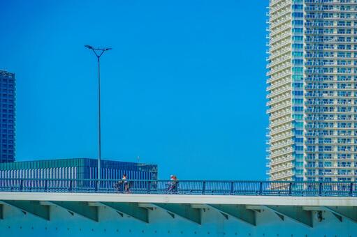 豊洲の橋と高層ビル 橋,欄干,街灯の写真素材