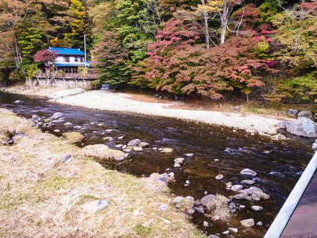 秋の色づく清流 塩原温泉,紅の吊り橋,10月の写真素材