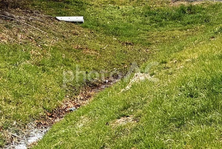 水が枯れた堀 水が枯れた堀,堀,ほりの写真素材